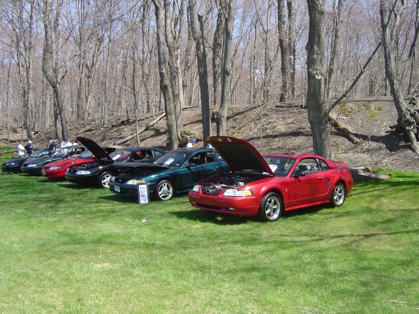 MU Spring Fling